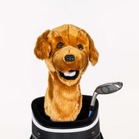 Daphne Headcover- Golden Retriever