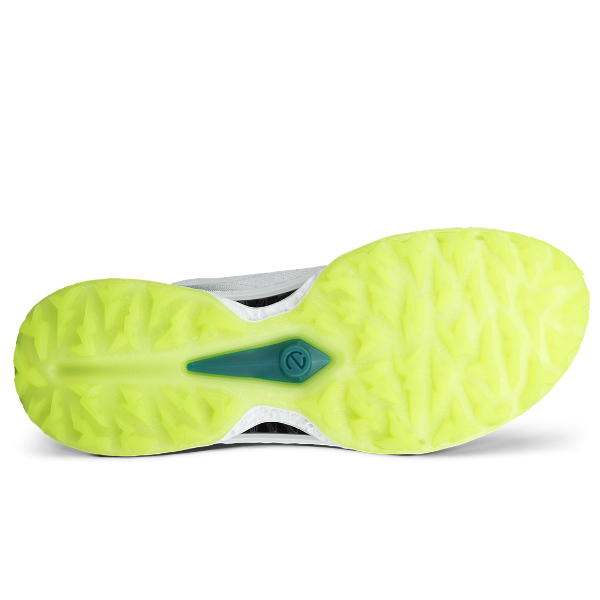 Ecco- Men's C5 Boa Shoes