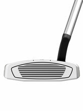 Load image into Gallery viewer, TaylorMade Spider EX Putter - Platinum/White Flow Neck
